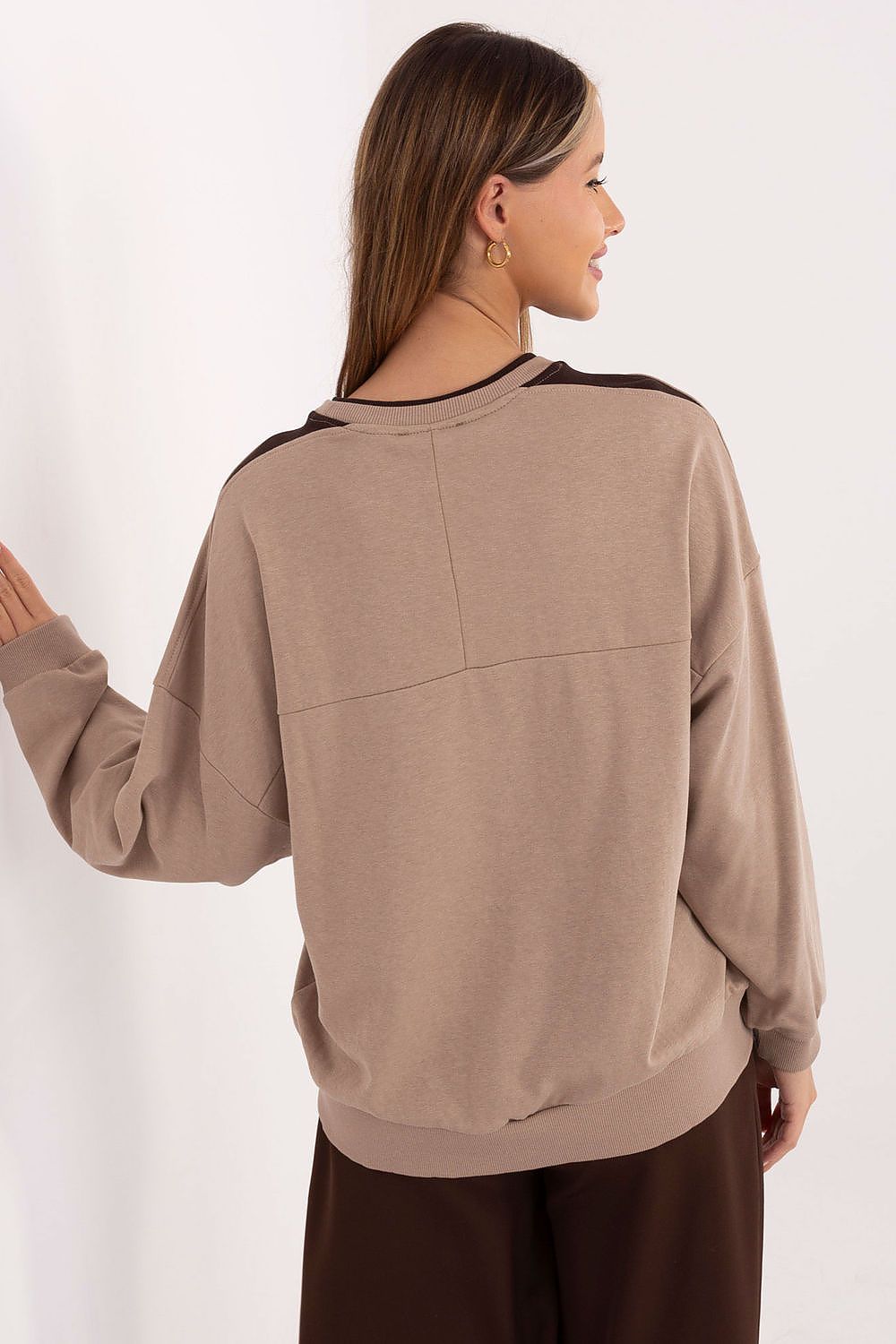 Sweatshirt model 222436 Relevance