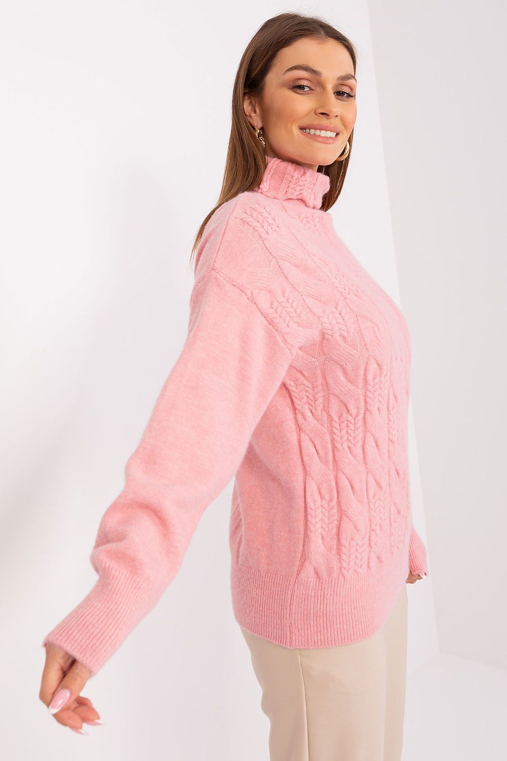  Turtleneck model 189889 AT 