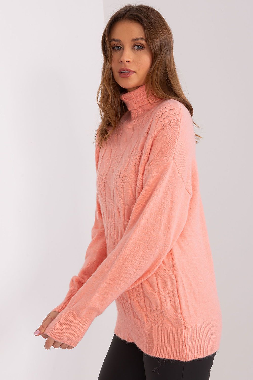  Turtleneck model 189890 AT 